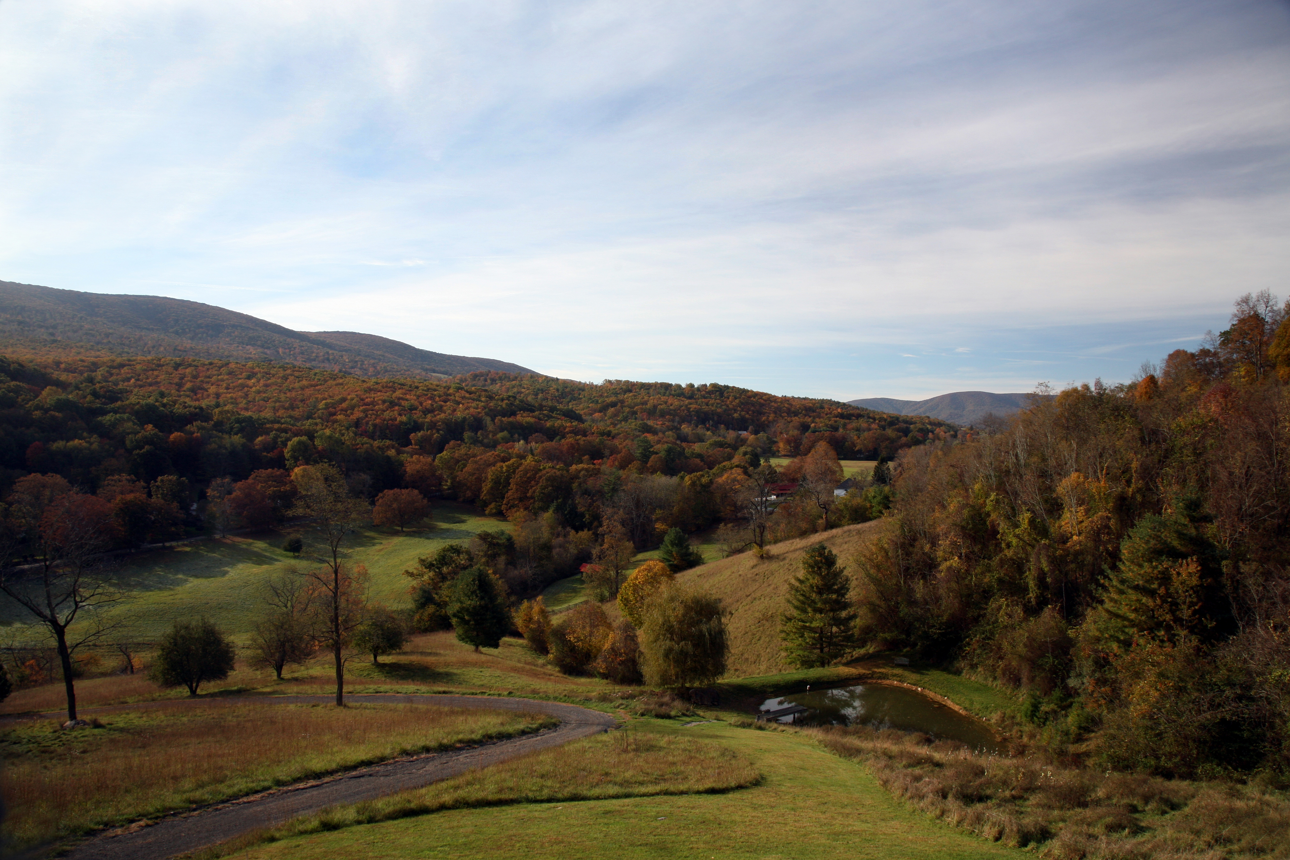 Bear Cove Clarkson & Wallace