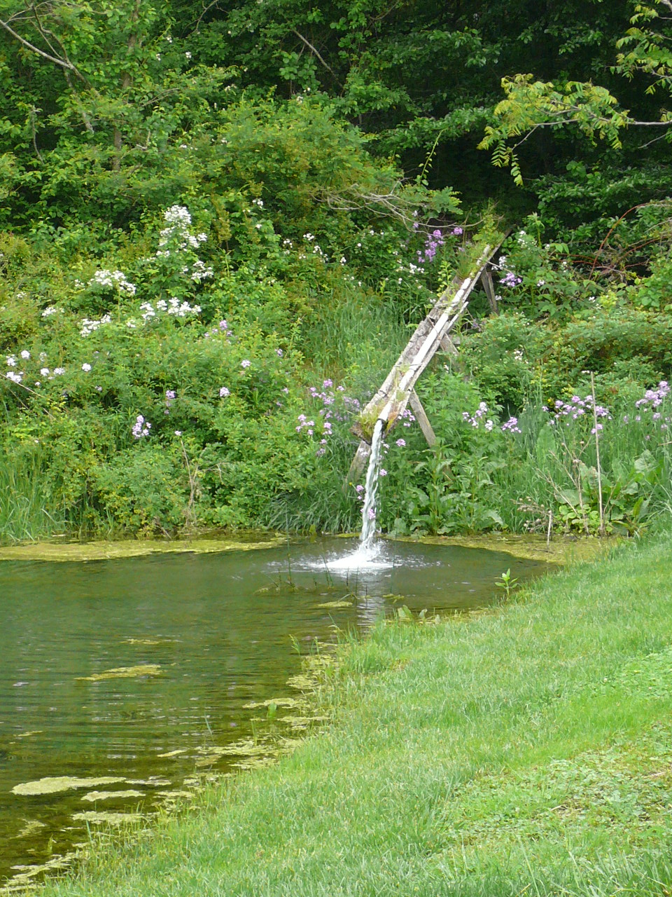 Bear Cove Clarkson & Wallace