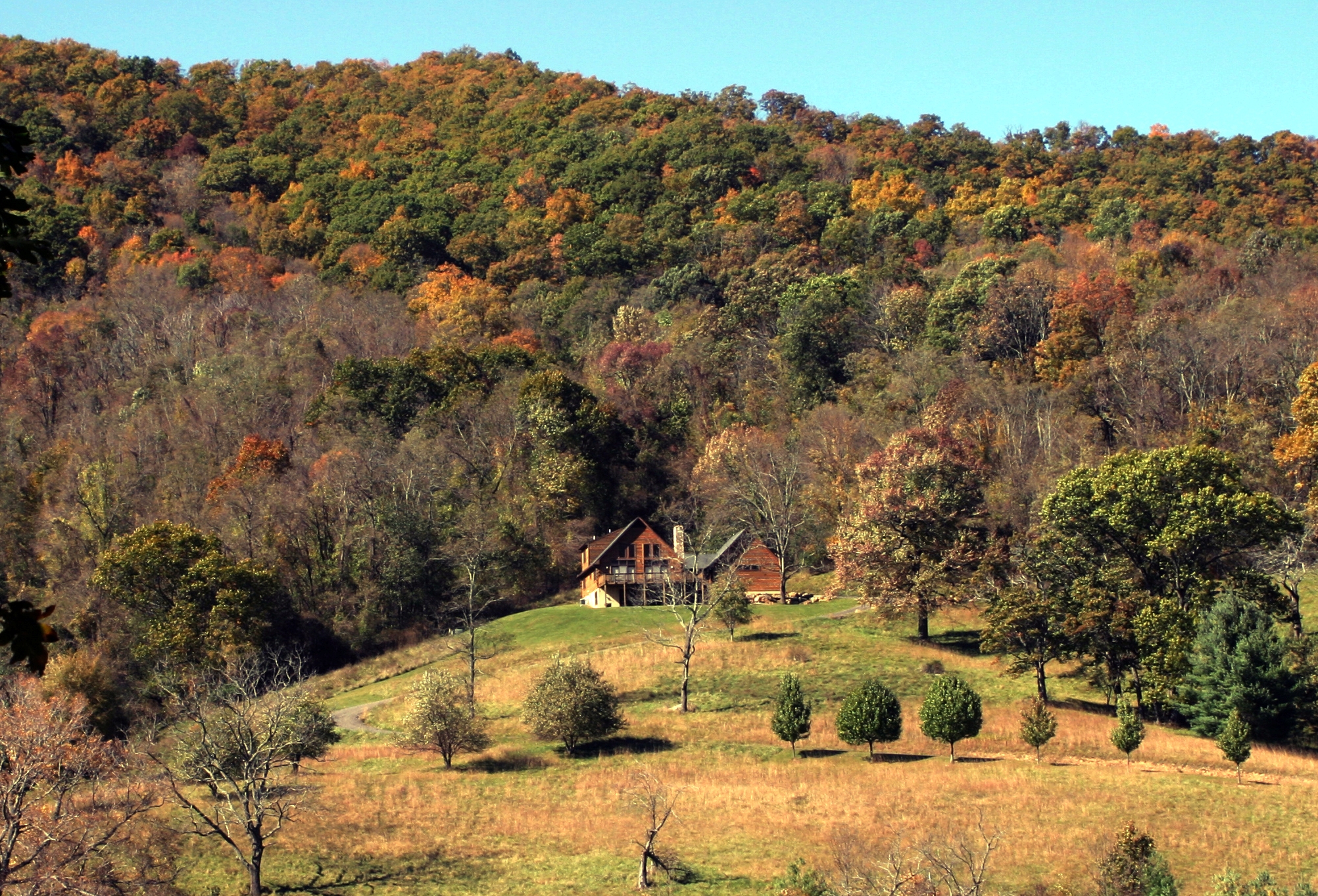 Bear Cove Clarkson & Wallace