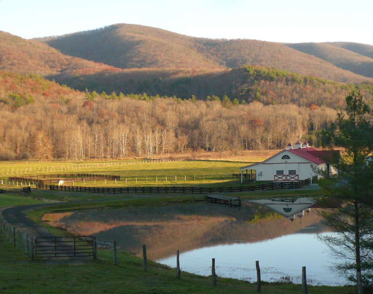 Mountain Real Estate & Insurance Clarkson & Wallace