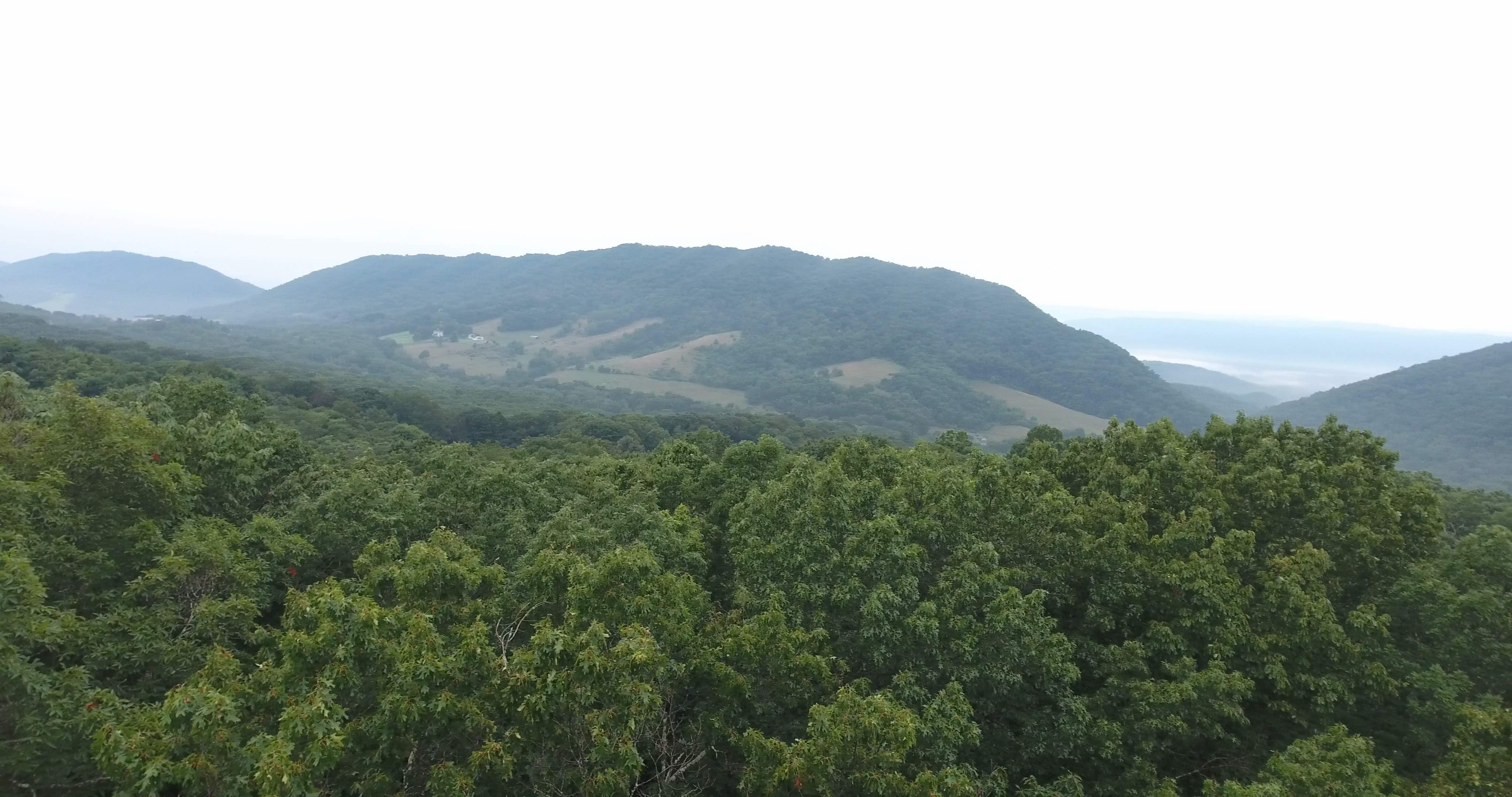 Old Dairy Lot 37 Clarkson & Wallace