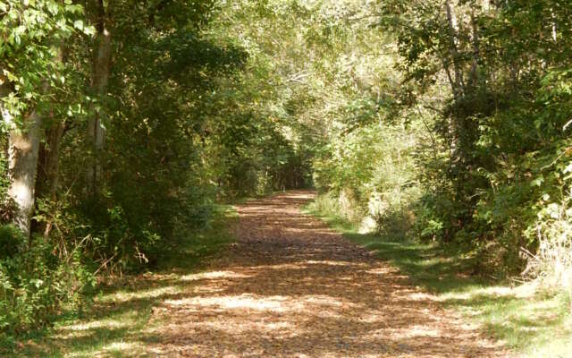 Jackson River Trail